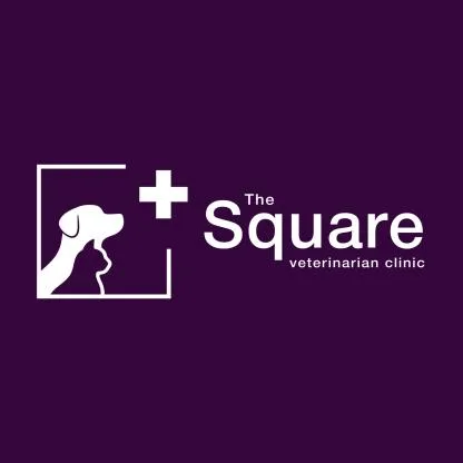 the square veterinarian clinic — UAE trademark No. 493690