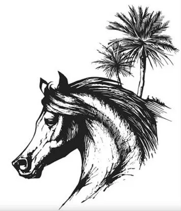رسم لرأس حصان وأشجار نخيل — UAE trademark, Class 3, No. 481580