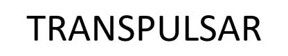 TRANSPULSAR — UAE trademark, Class 9, No. 482365