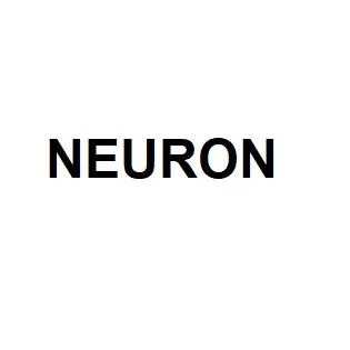 NEURON