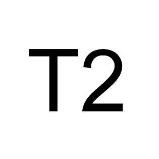 T2