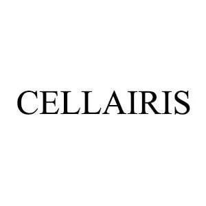 CELLAIRIS — UAE trademark, Class 18, No. 428327