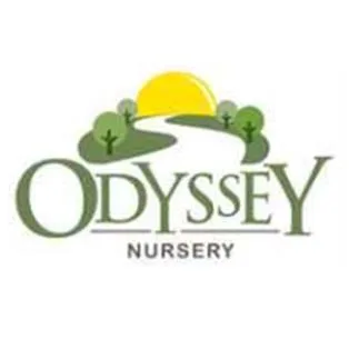 ODYSSEY NURSERY