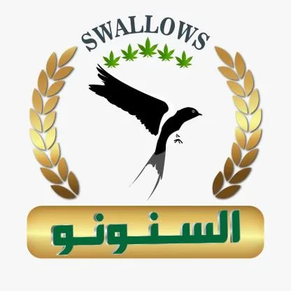 السنونو SWALLOWS