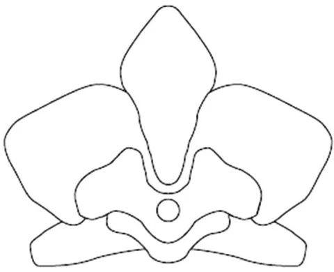 Logo mark No. 1858129 — UAE trademark, Class 18, No. 1858129
