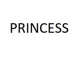 PRINCESS