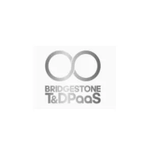 BRIDGESTONE T&DPaaS