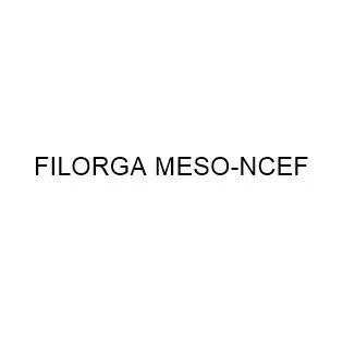 FILORGA MESO-NCEF