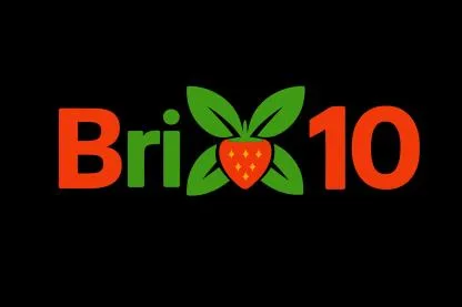 Brix 10