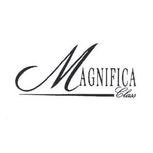 MAGNIFICA Class — UAE trademark in Class 39