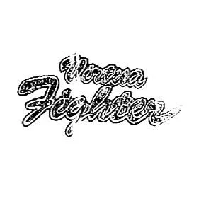 Virtua fighter