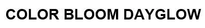 COLOR BLOOM DAYGLOW