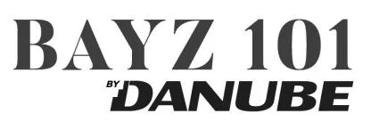 BAYZ 101 By Danube