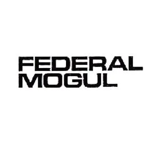 FEDERAL MOGUL