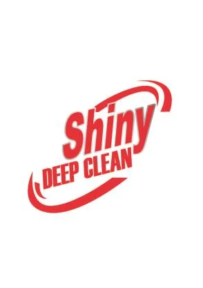 SHINY DEEP CLEAN — UAE trademark in Class 3