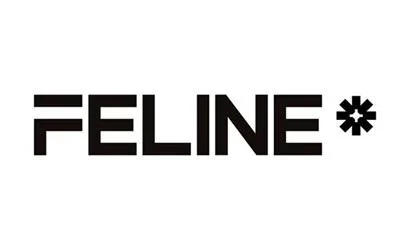 FELINE — UAE trademark, Class 6, No. 482148