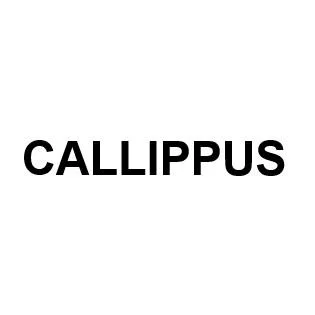 CALLIPPUS