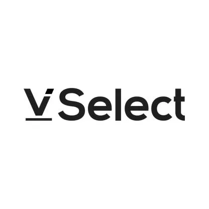 VSelect