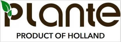 PLANTE - PRODUCT OF HOLLAND — UAE trademark in Class 31