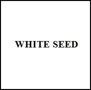 WHITE SEED