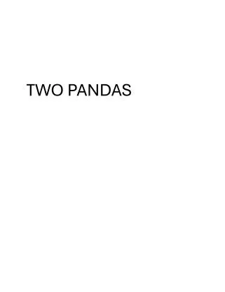 TWO PANDAS — UAE trademark in Class 28
