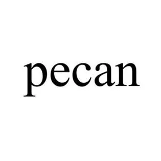 pecan — UAE trademark, Class 20, No. 483960