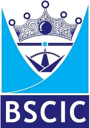 BSCIC — UAE trademark, Class 42, No. 465856
