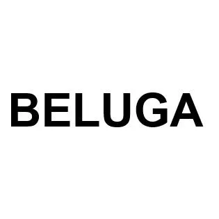 BELUGA