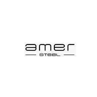 amer STeeL — UAE trademark in Class 12