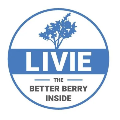 LIVIE THE BETTER BERRY INSIDE — UAE trademark in Class 31