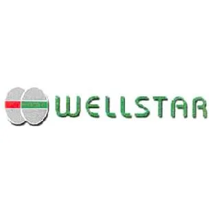 LLSTAR WE