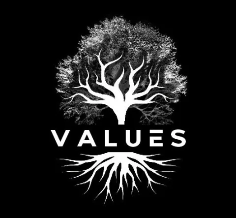 VALUES