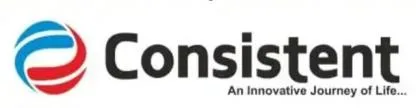 Consistent (An Innovative Journey of Life)