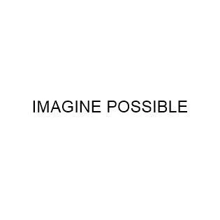IMAGINE POSSIBLE — UAE trademark in Class 41