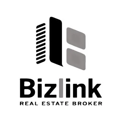 Bizlink