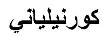 كورنيلياني