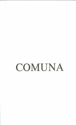 COMUNA — UAE trademark, Class 29, No. 040001
