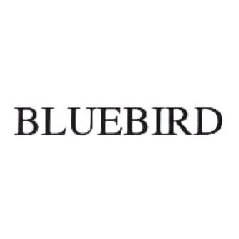 BLUEBIRD