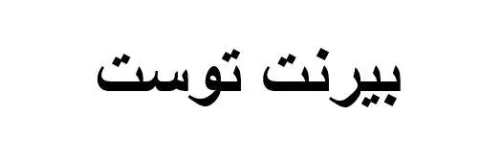 بيرنت توست