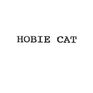 HOBIE CAT — UAE trademark in Class 12