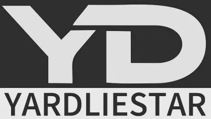 ARDLIESTAR Y — UAE trademark, Class 3, No. 487686