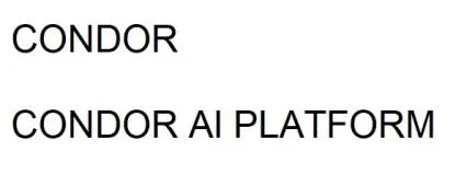 CONDOR / CONDOR AI PLATFORM