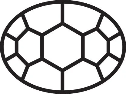 Turtle shell logo