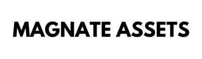 MAGNATE ASSETS