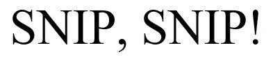 SNIP, SNIP! — UAE trademark, Class 16, No. 482855