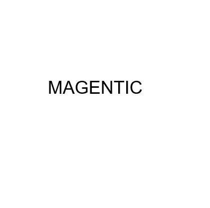 MAGENTIC — UAE trademark, Class 42, No. 463348