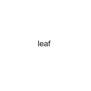 leaf — UAE trademark in Class 28
