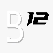 B 12 — UAE trademark, Class 35, No. 439522
