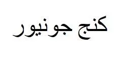 كنج جونيور