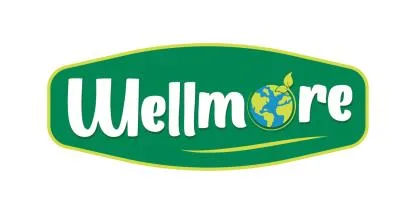 WELLMORE